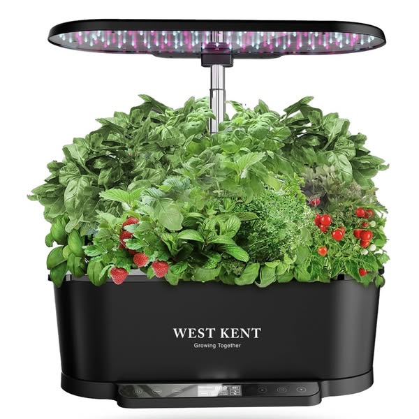 Grow It! Taste It! Love It! (No Green Thumb Needed)