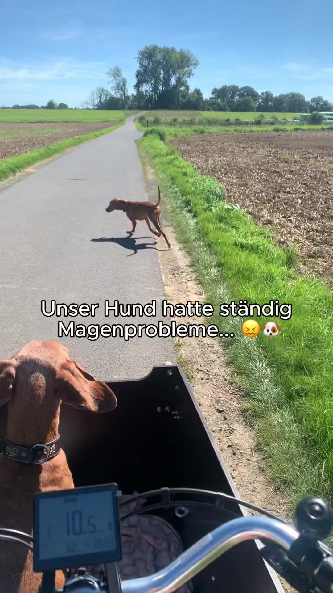 Mit Tierärzten sorgfältig entwickelt!
