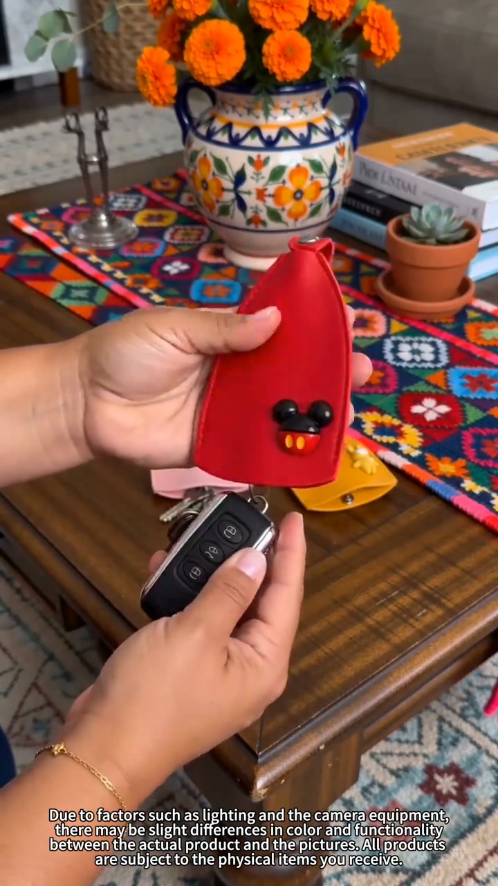 Cute Cartoon Key Case Holds All Your Keys!