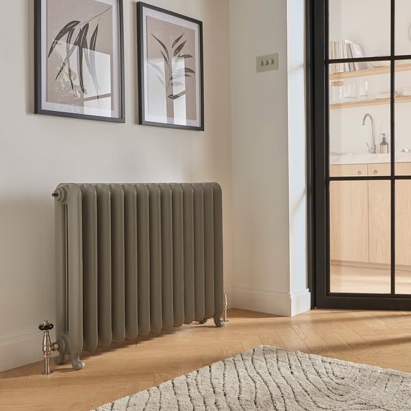 Paladin Bartholomew, 2 Column Cast Iron Radiator, 740mm x 1035mm - 14 sections