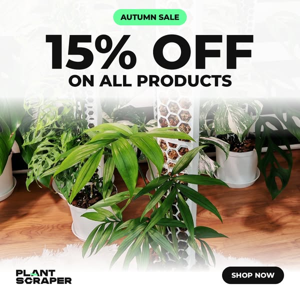 Everything, 15% off. Five days only
