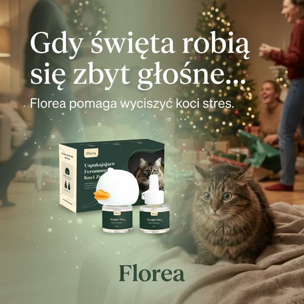 Feromony Florea - Koci Zen
