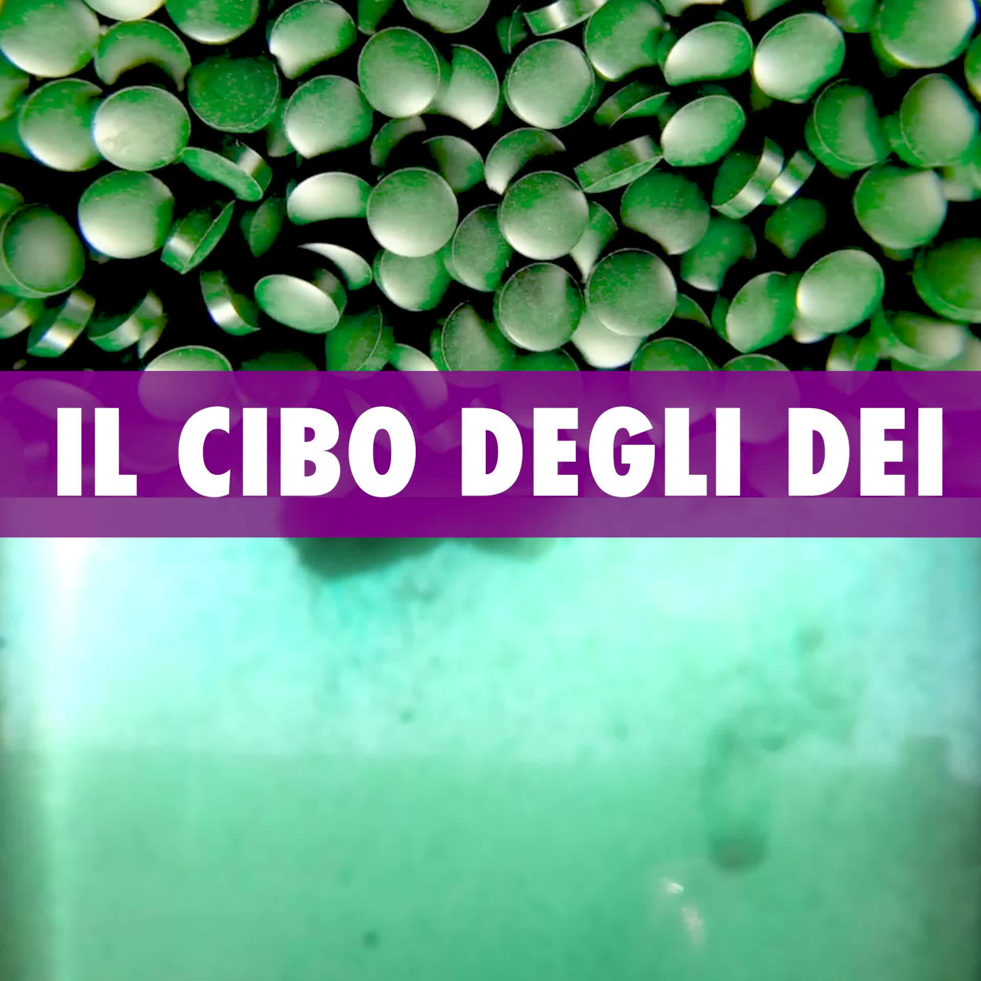 Oggi Spirulina G è in Offerta - Spedizione Gratuita + 2 Omaggi