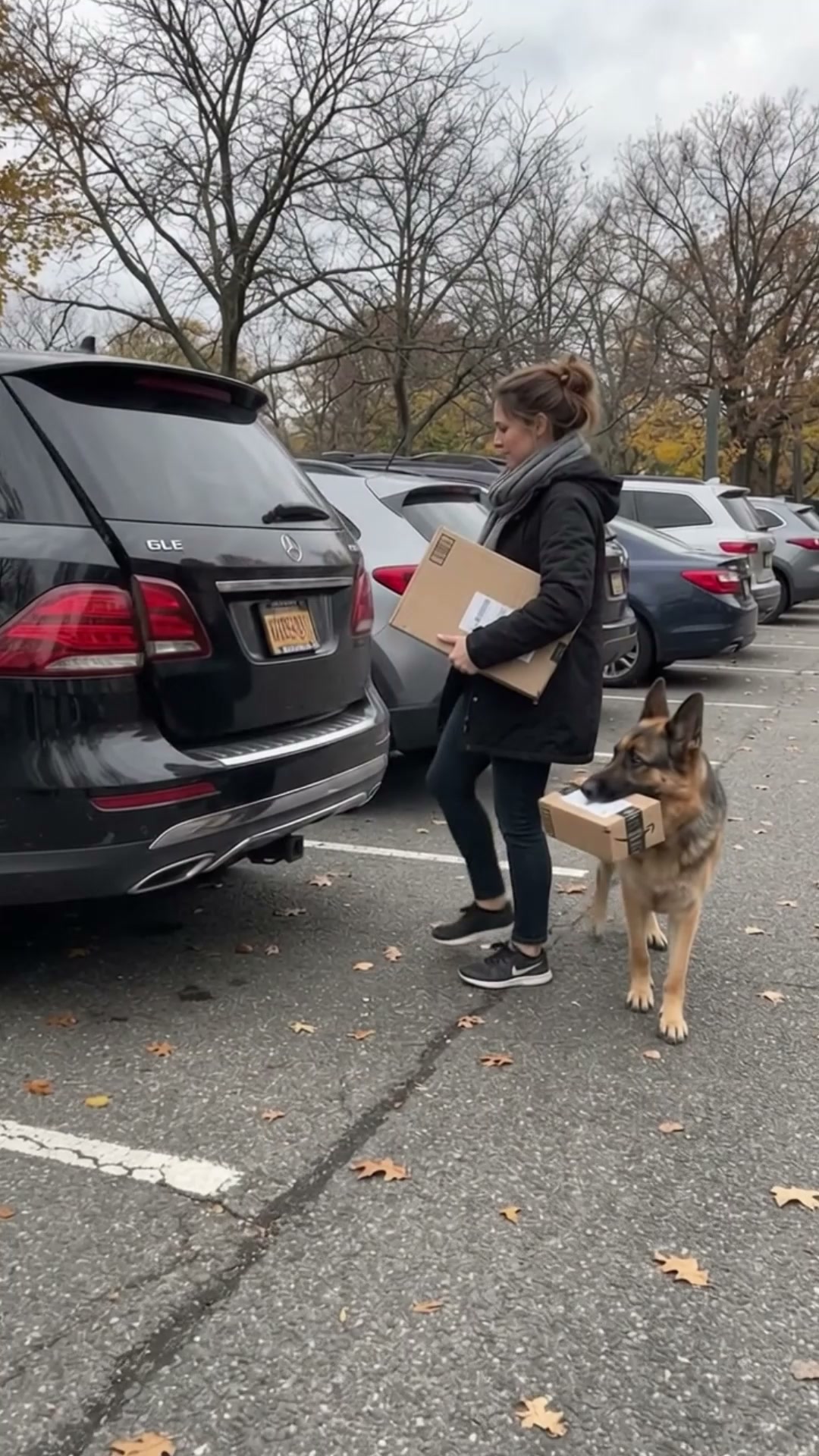 Start Service-Dog-Level Challenge ▶