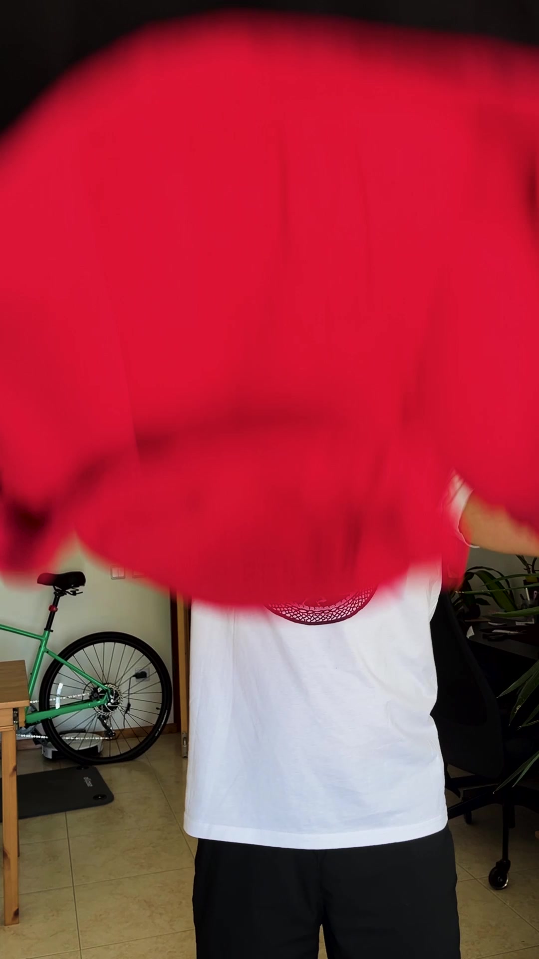 The Philosopher's Shirt