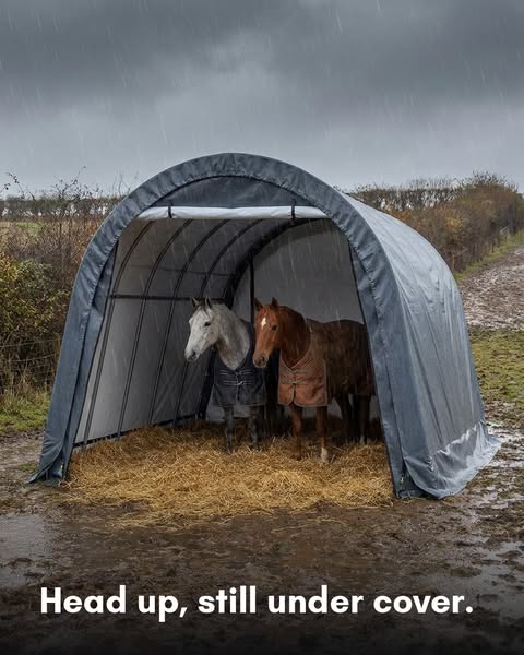 Field Shelter 20 x 12 x 9.3 ft