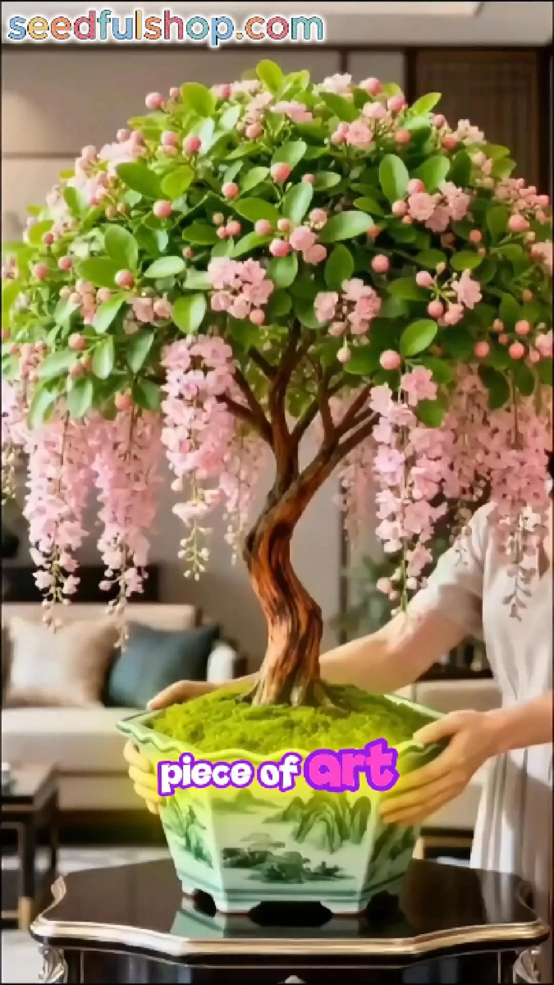 Rare Weeping Jasmine Flowers Bulbs