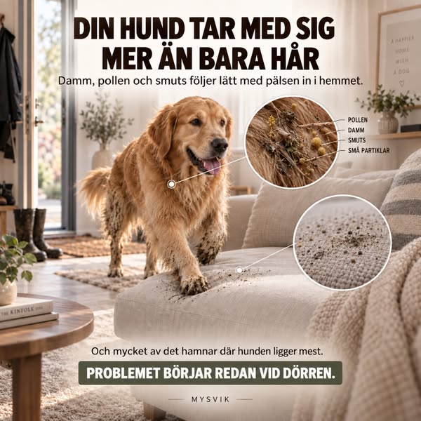 Djurhåret kommer tillbaka av en anledning