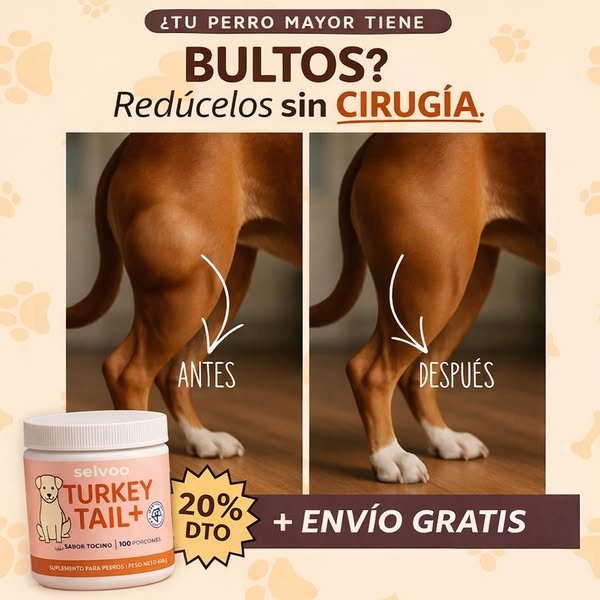 Cuida su digestión hoy, antes de que se acabe