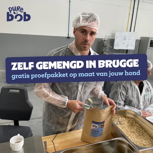 Hoe 2 Belgen hondenvoeding maken
