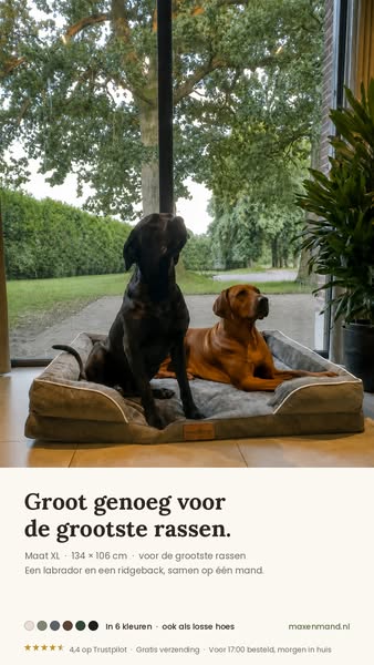 Groot genoeg voor de grootste rassen
