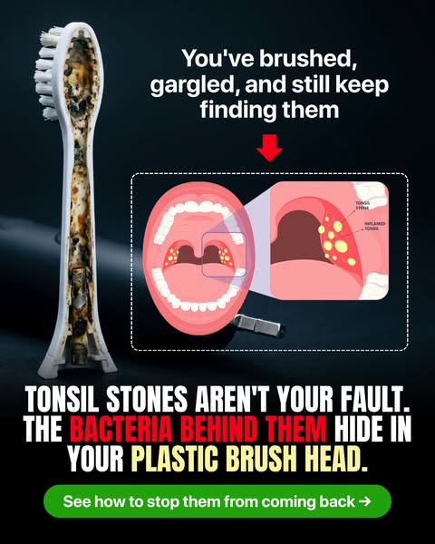 Dental hygiene research favors a solid brush head