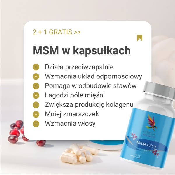 2 + 1 GRATIS >>