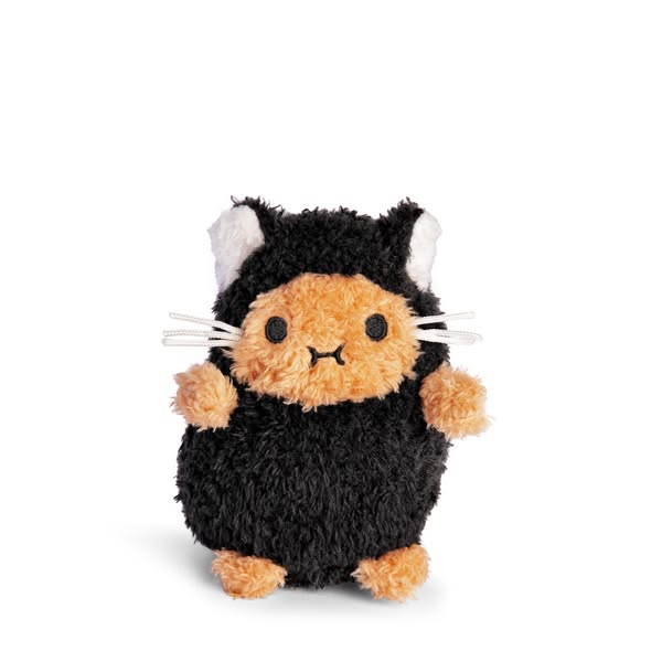 Noodoll