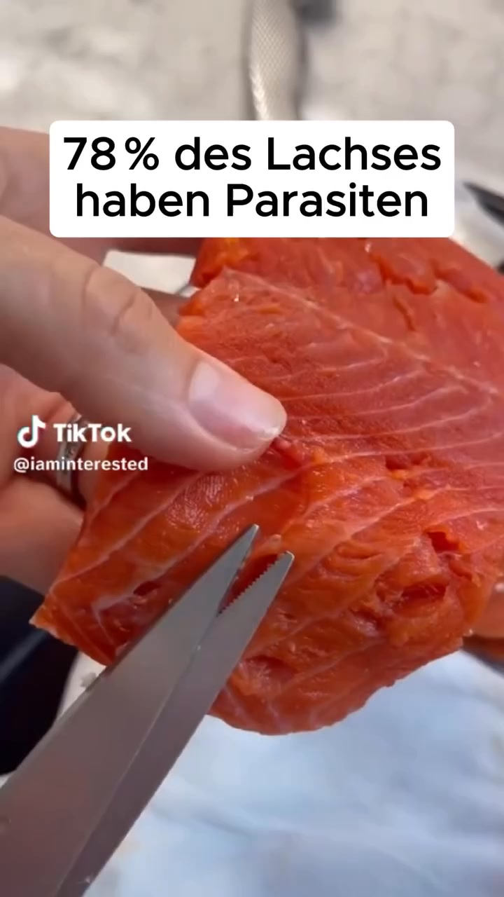Reinigung von Innen mit Orega Plus