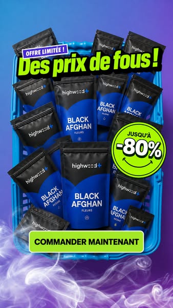 Tout doit disparaître
