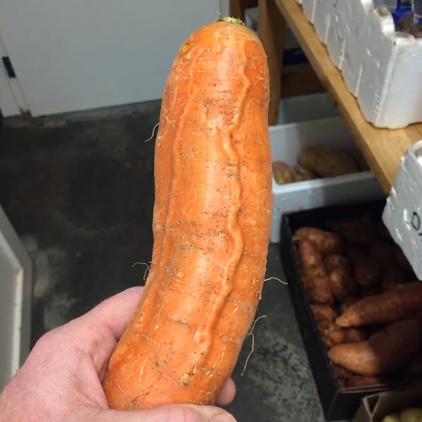 I'm a female urologist. Men hate what I found.