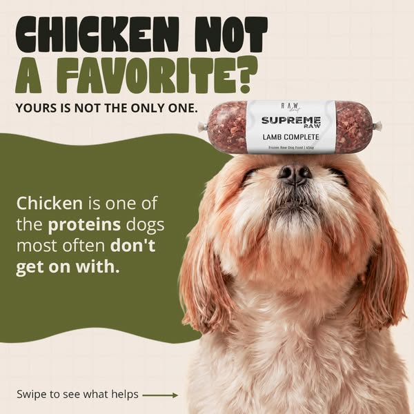 Chicken-free raw meals for sensitive dogs