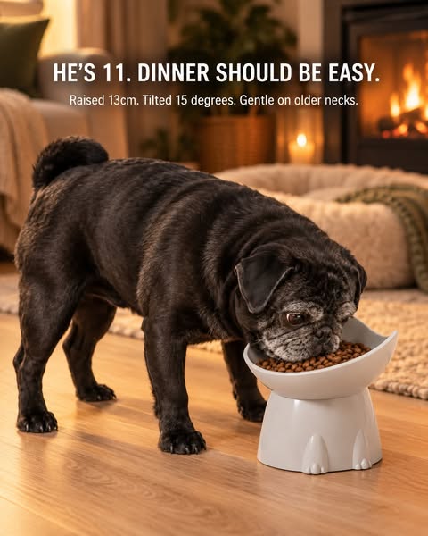 Orthopedic Bowl