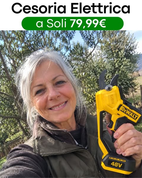 Oggi a soli 79,99€ invece di 269,99€