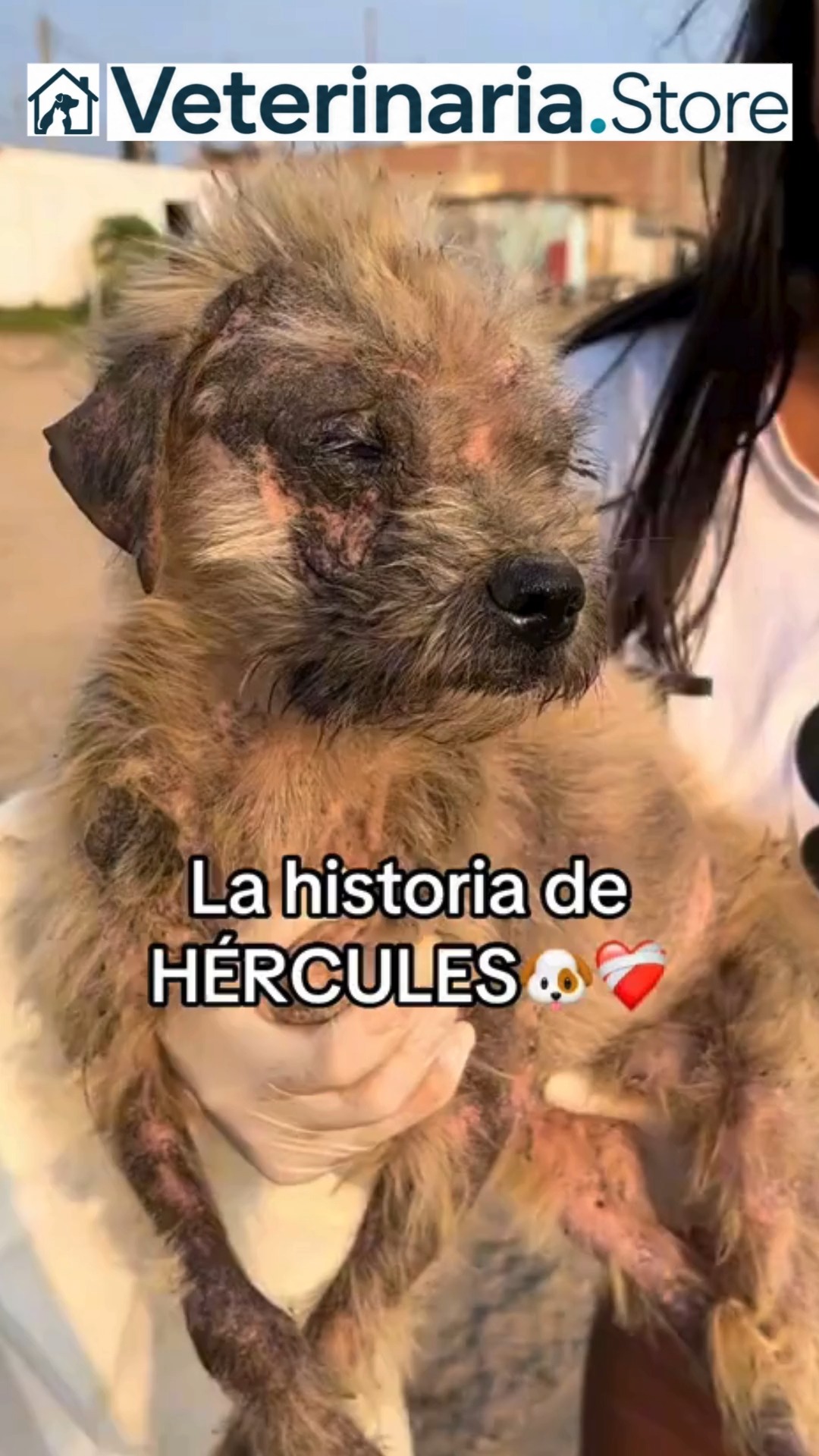 Pago contra Reembolso + Envío Gratis 24/48Hs
