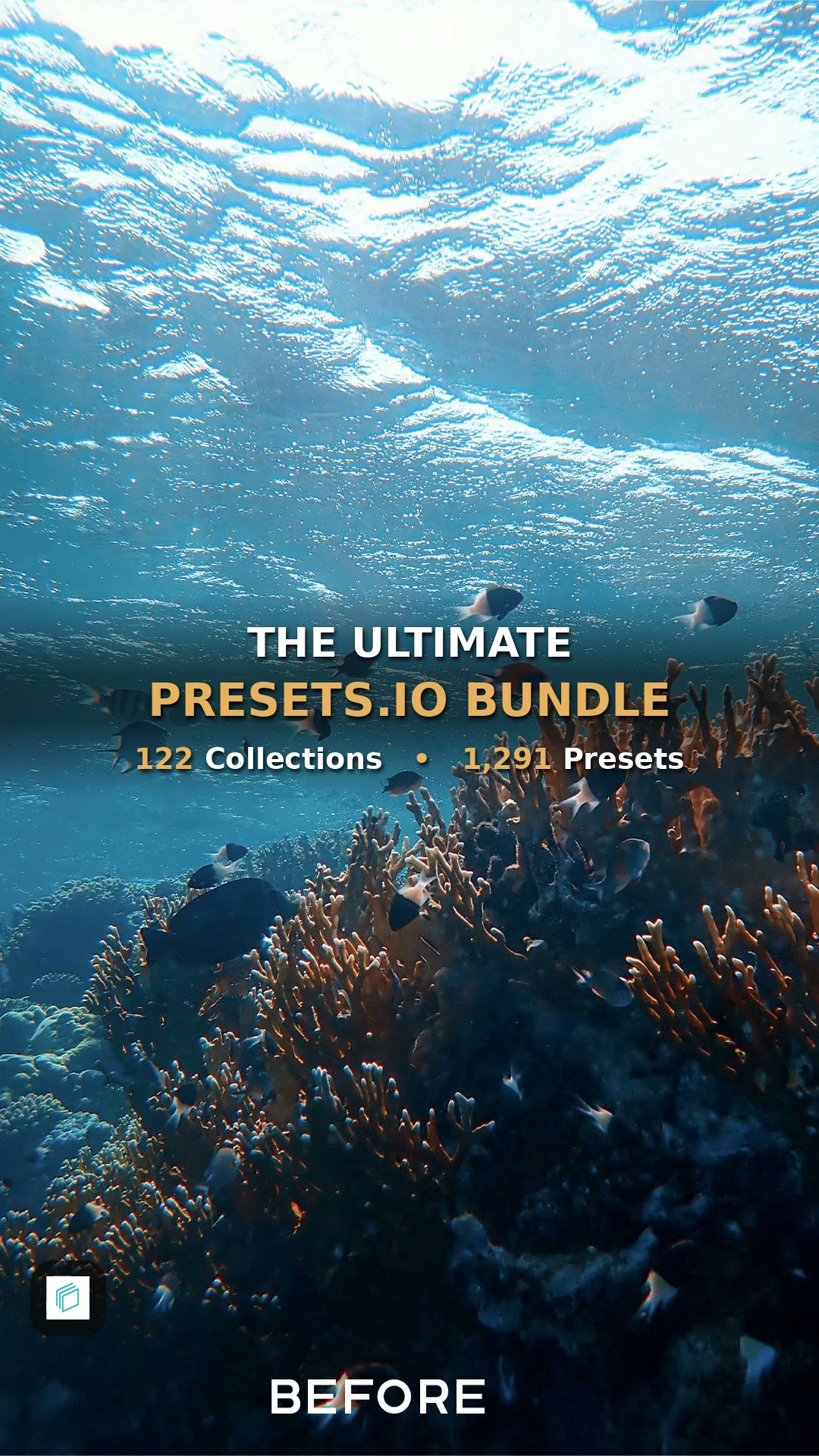 Trusted by 60,000+ Photographers