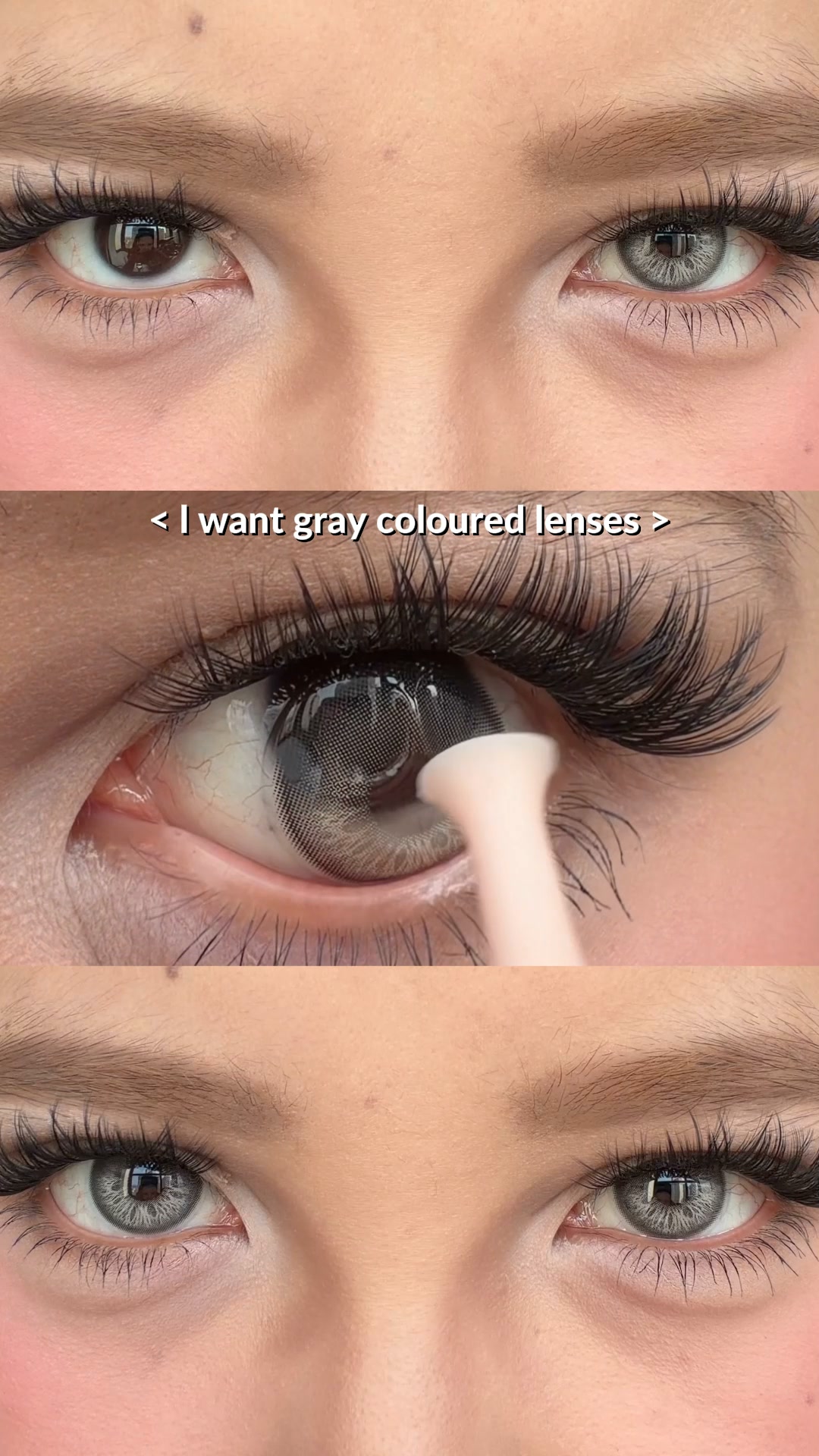 400+ Shades.