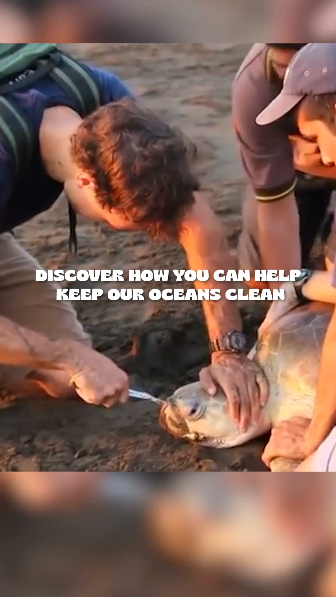 For Those Who Love the Ocean