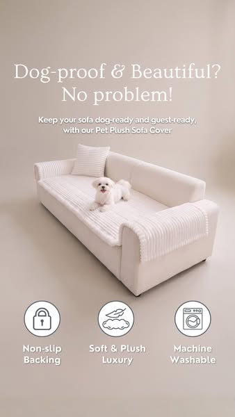 Sofa is much cleaner now..