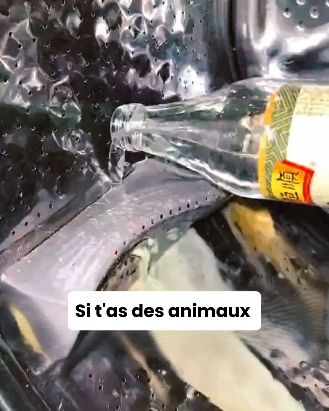 Ton linge sent le renfermé même après lavage ? Voici pourquoi