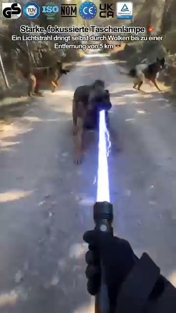 A Reliable Light for Everyday Adventures