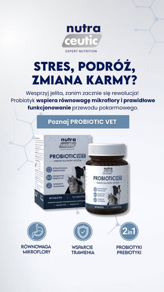 Wsparcie dla wrażliwych brzuszków u psów i kotów