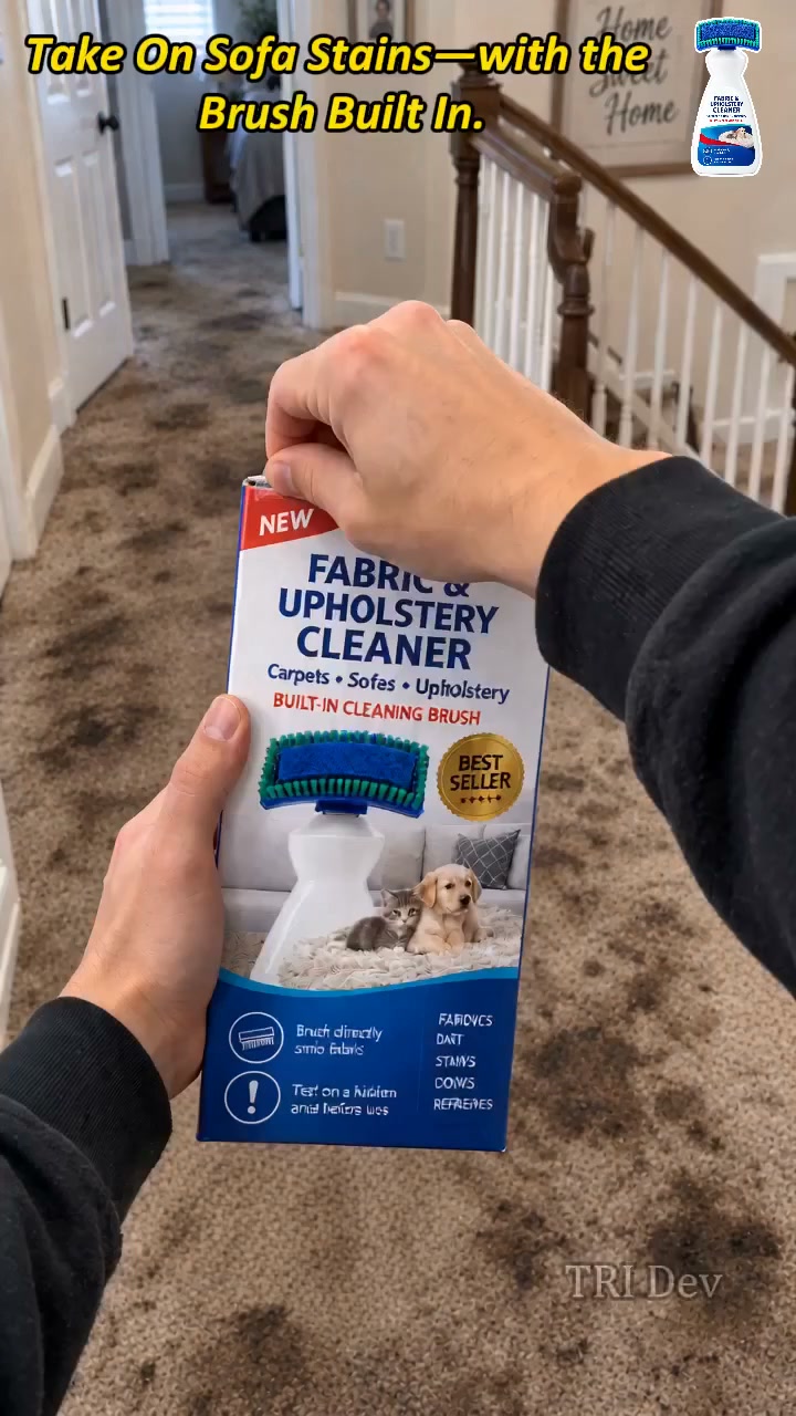 Spills & Stains? Brush Them Away! No-Wash Carpet & Sofa Cleaner – Fresh, Clean Fabrics Made Easy