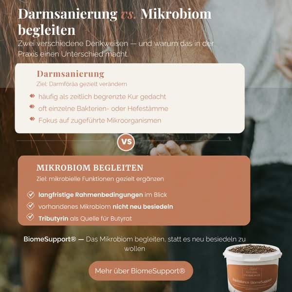 Jetzt den Unterschied entdecken