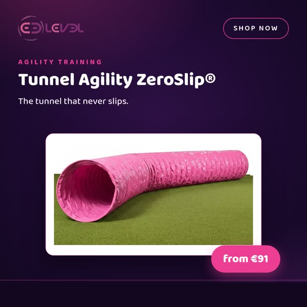 ZeroSlip Tunnel
