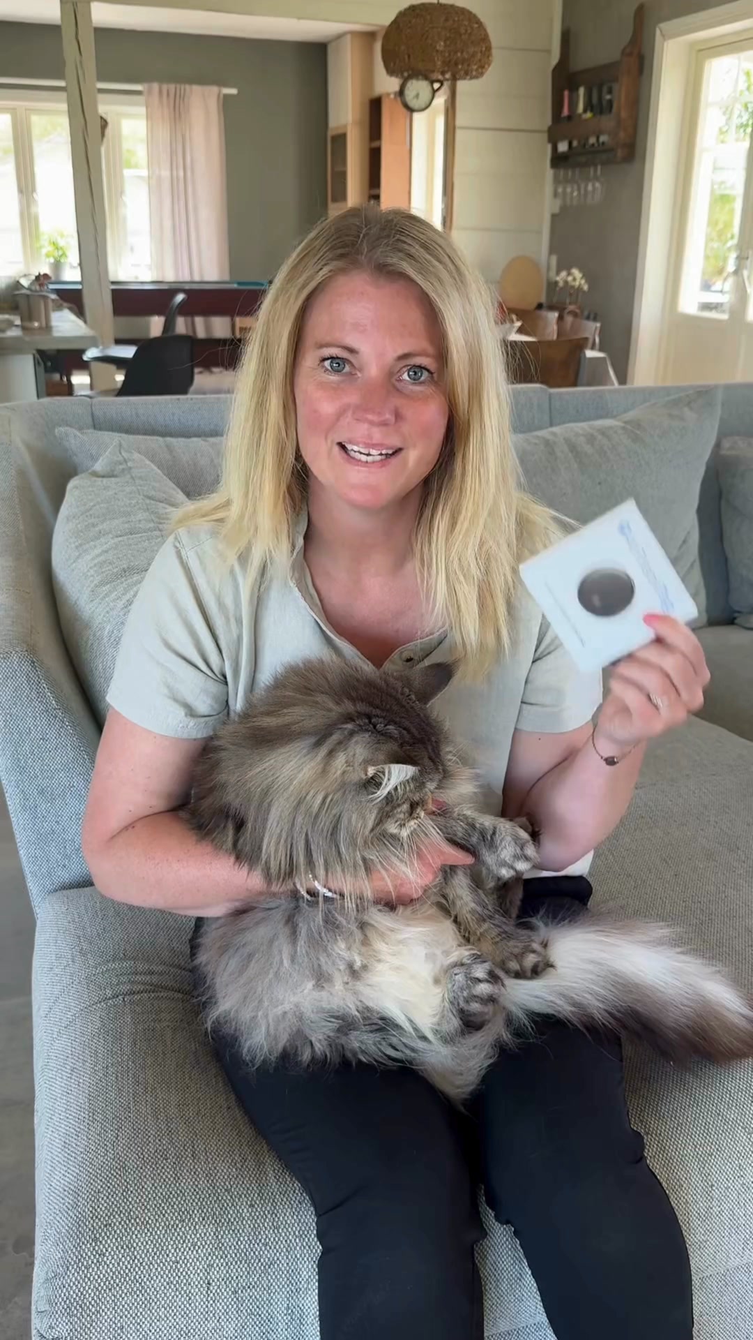 Spåra din katt – utan abonnemang