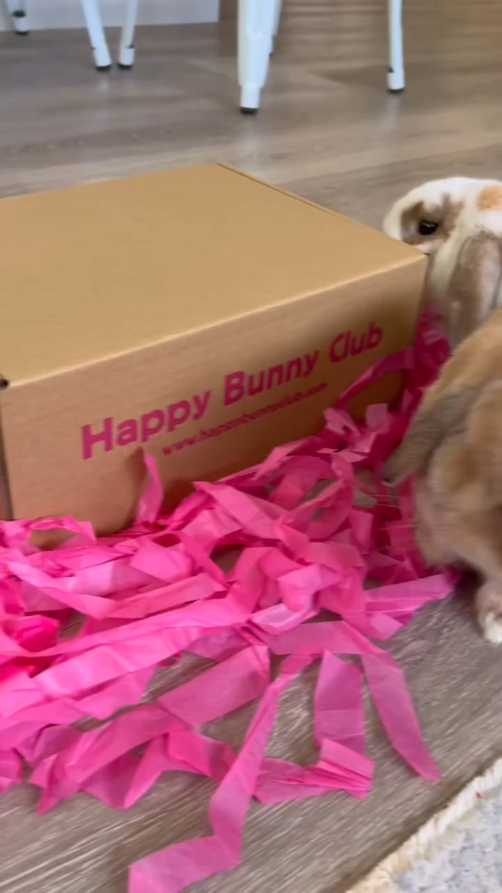 Get your first box for just £14, free delivery.