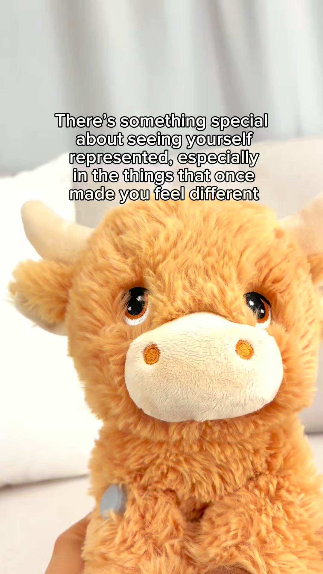 Free shipping on all T1D plushies