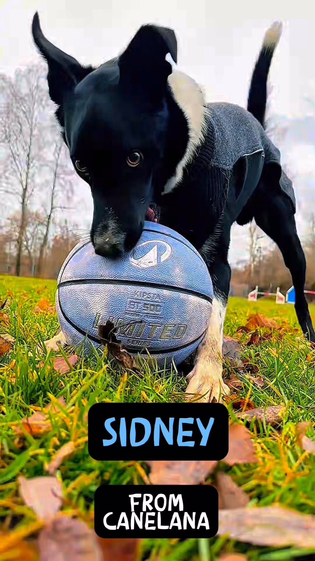Canelana Sidney – sikker træning, selv når det er koldt