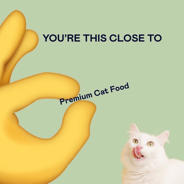 Highest Protein Cat Food