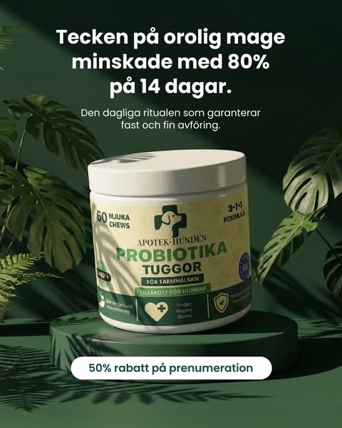 25,000+ hundar kan inte ha fel