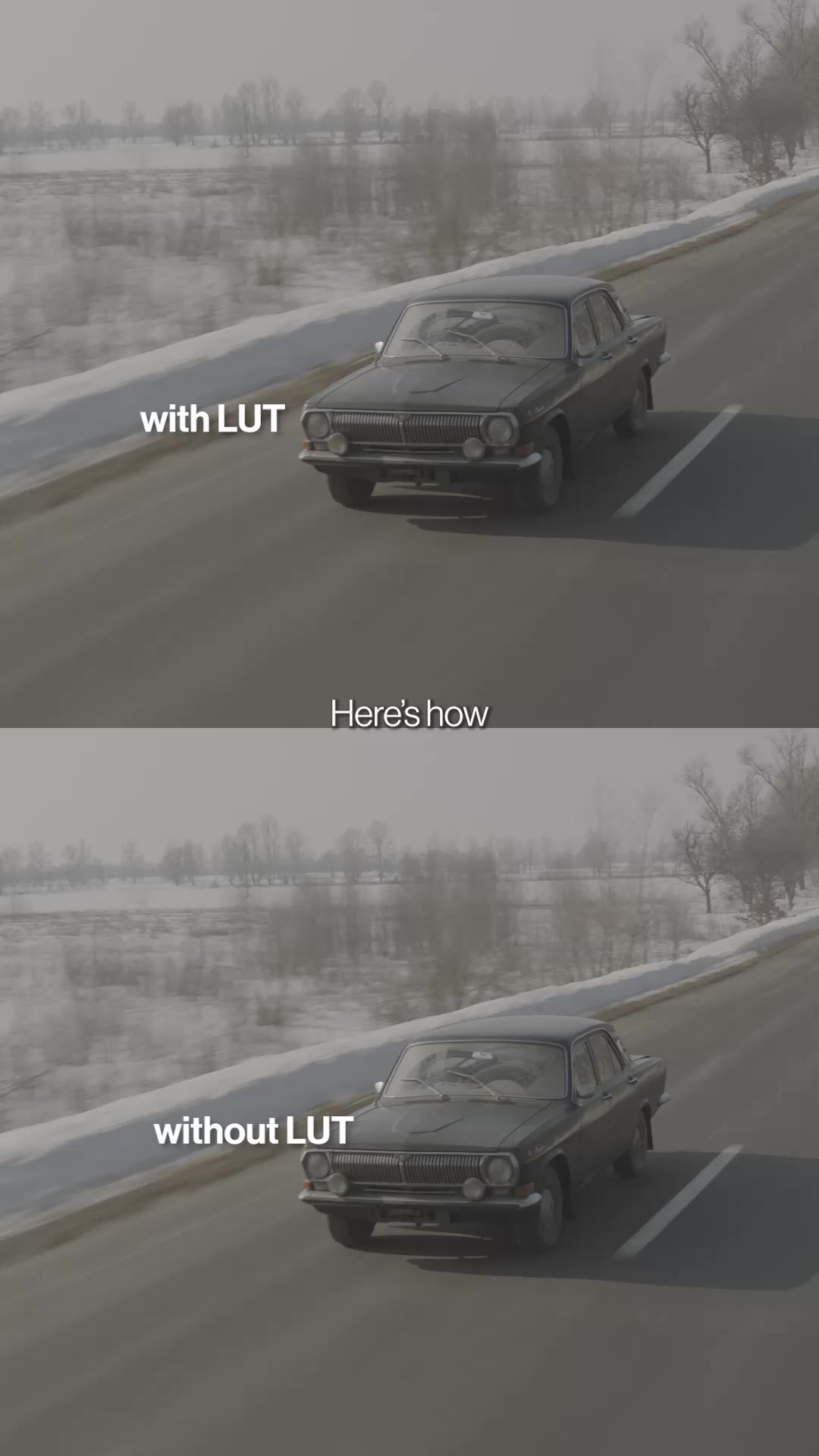 Trusted by Thousands