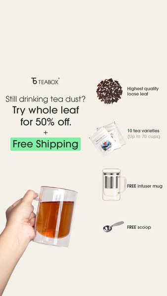 FLAT 50% OFF + 2 Free Gifts