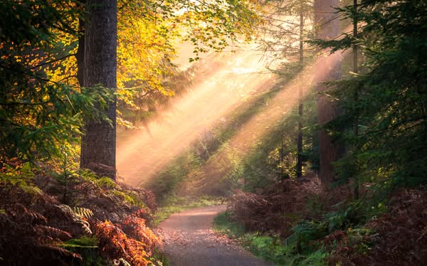 Mooiere landschapsfoto's maken