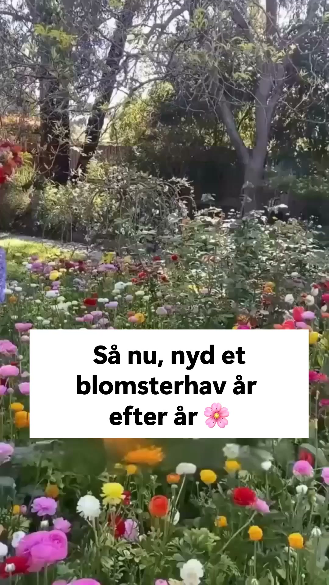 Så nu. Nyd det til foråret.