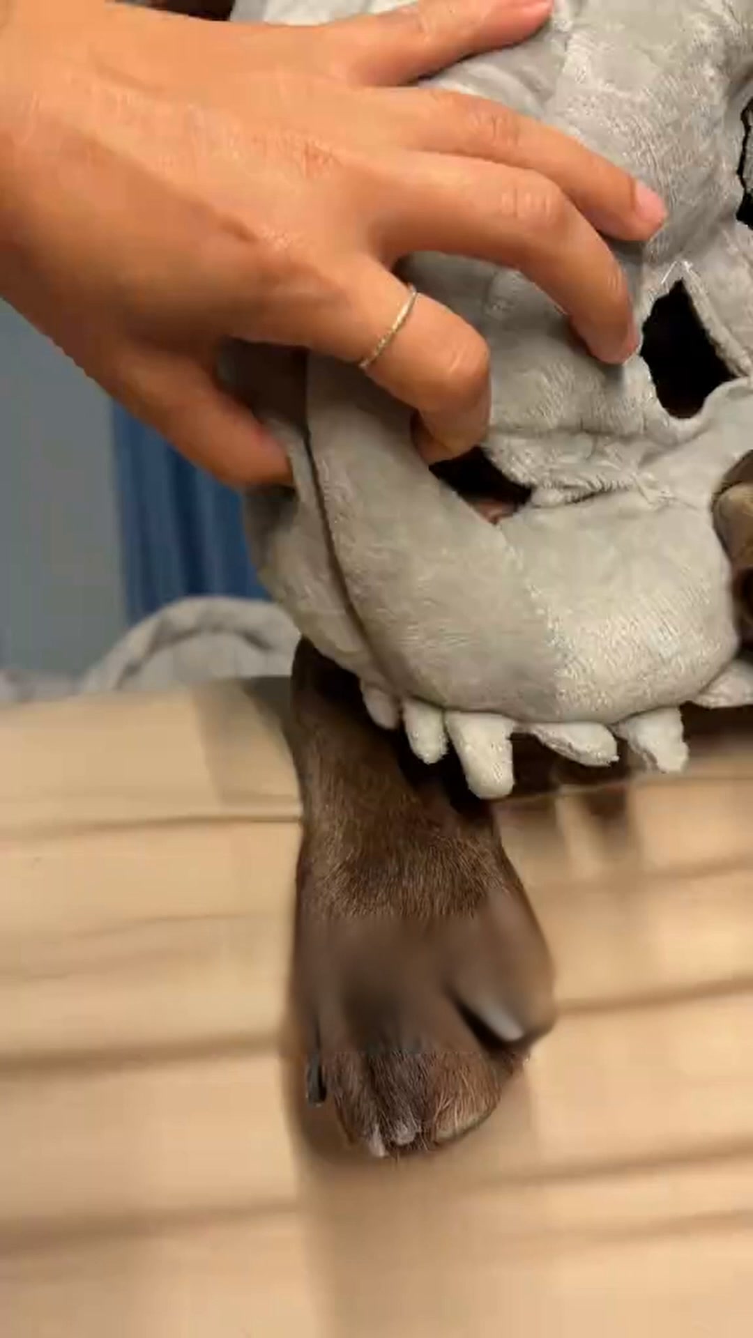 Your Dog Just Became A T-Rex. You're Welcome.