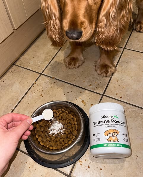 93% of coughing cockers are starving for this.