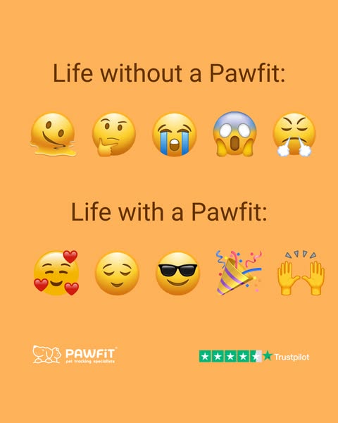 Save with code SOCIAL