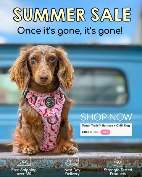 Our summer sale is live.