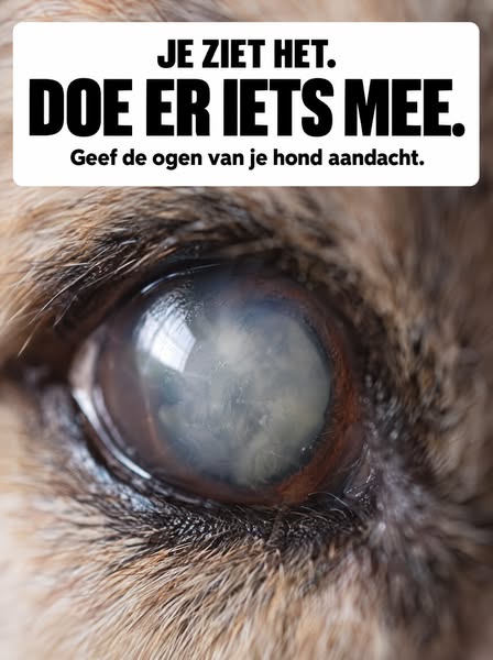 Je ziet het elke dag en hoopt dat het niet erger wordt.